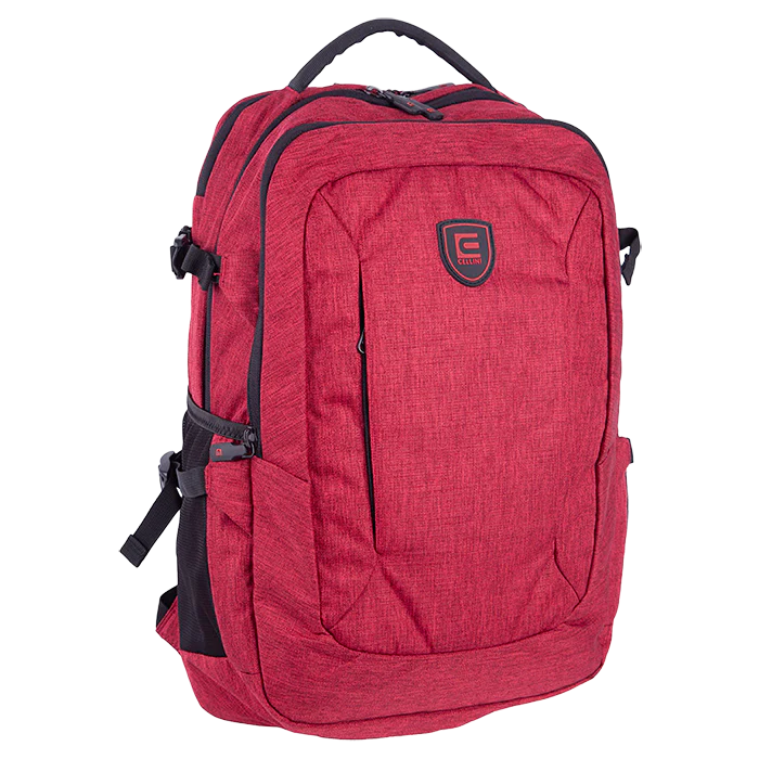 Cellini Ace Multi-Pocket College Backpack - Image 2