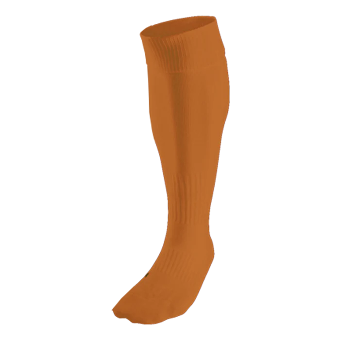 BRT Team Sock - Image 6