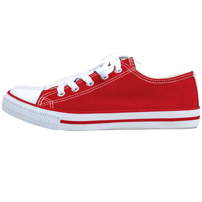 Barron Canvas Lace Up Shoe - Image 3